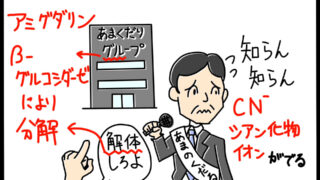 アミグダリンの特徴　ゴロイラスト